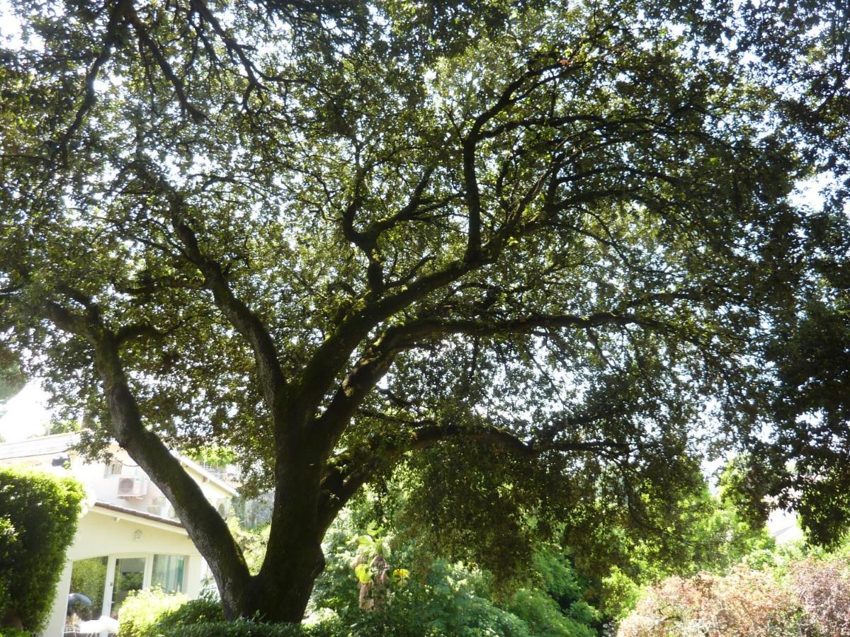 Beaux Chenes Bed & Breakfast Nerac Bagian luar foto